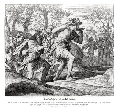 Batedores para a terra de Canaã, Números de Julius Schnorr von Carolsfeld