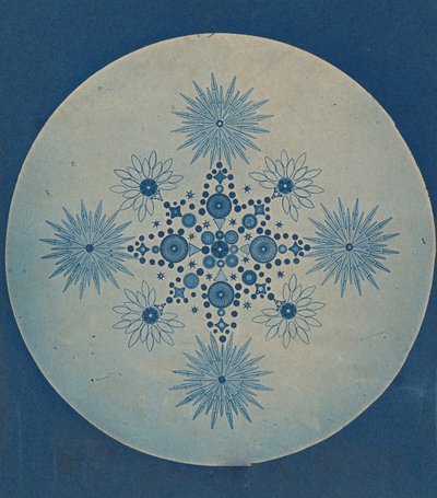 [Frústulas de Diatomáceas], ca. 1870. de Julius Wiesner.