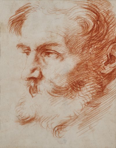 Cabeça de homem barbudo de Jusepe de Ribera