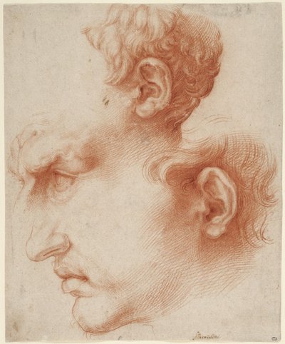 Estudos de cabeça masculina de perfil de Jusepe de Ribera