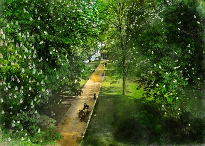 Trilho do Spring Park de Justyna Jaszke
