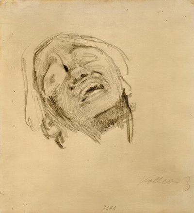 a cabeça da mulher de Käthe Kollwitz