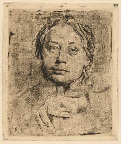  de Käthe Kollwitz