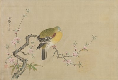 Álbum de Cópias de Pinturas Chinesas, século XVII. de Kanô Yôboku Tsunenobu