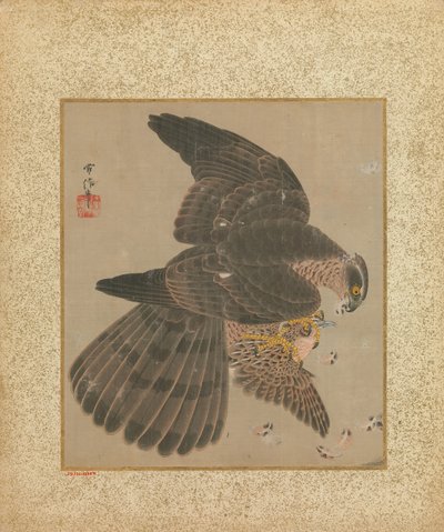 Álbum de Falcões e Caligrafia, séc. XVII-XVIII. de Kanô Yôboku Tsunenobu