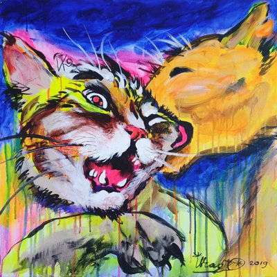 Abraço de gato feroz de Kanat Ibragimov