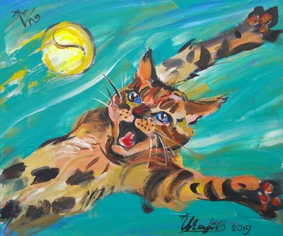 Gato-de-bengala voador de Kanat Ibragimov