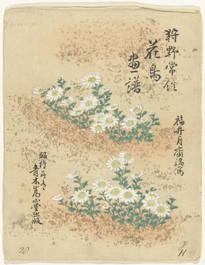 Índice Esboços de flores e pássaros por Kano Tsunenobu (título da série) Kano Tsunenobu kacho gafu (título da série no objeto) de Kano Tsunenobu