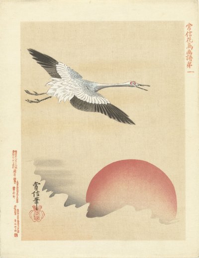 Guindaste voando na lua vermelha Esboços de flores e pássaros por Kano Tsunenobu (título da série) Kano Tsunenobu kacho gafu (título da série no objeto) de Kano Tsunenobu
