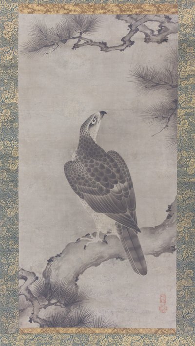 Hawk em um Pine Shoo zu, século XVI. de Kano Yukinobu