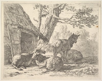 Quatro ovelhas, uma ovelha está entre outras três deitadas no chão ao lado de um galpão com po ..., 1658. de Karel Du Jardin