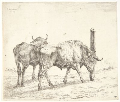 Os Dois Bois de Karel Du Jardin