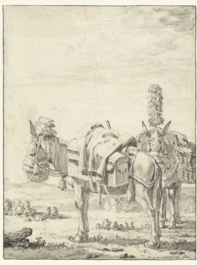 Duas mulas de Karel Du Jardin