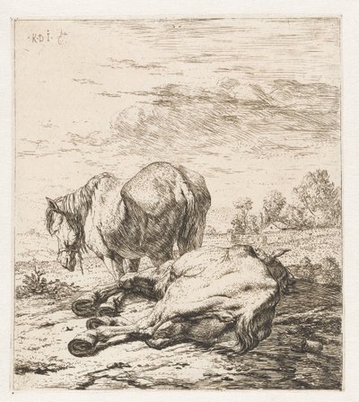 Dois cavalos Animais (título da série) de Karel Du Jardin