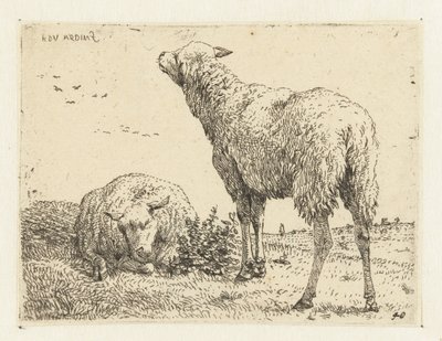 Duas ovelhas de Karel Du Jardin