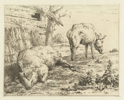 Dois porcos de Karel Du Jardin