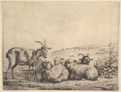 Duas cabras e três ovelhas, 1655. de Karel Du Jardin