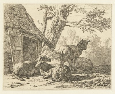 Quatro ovelhas de Karel Du Jardin