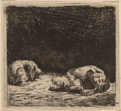 Cão e gato de Karel Dujardin
