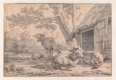 Ovelhas junto a um celeiro de Karel Dujardin