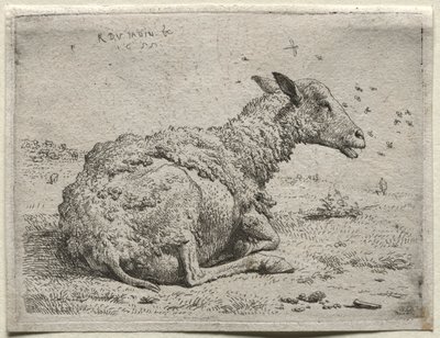 As ovelhas e as moscas. de Karel Dujardin
