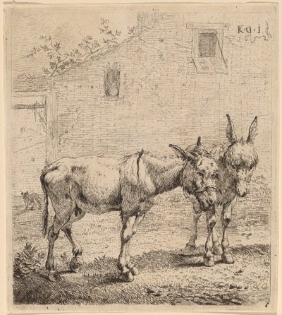 Dois burros de Karel Dujardin