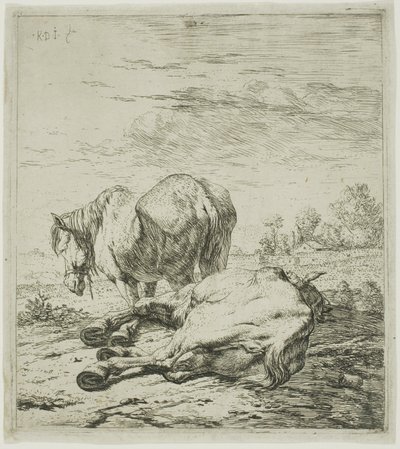 Dois cavalos de Karel Dujardin