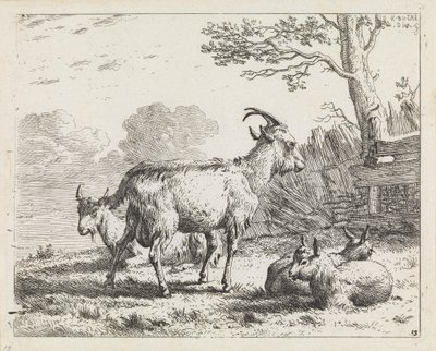 Quatro cabras de Karel Dujardin