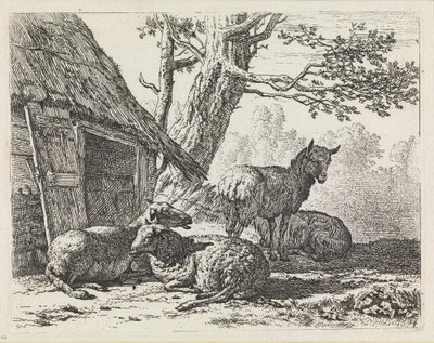 Quatro ovelhas de Karel Dujardin