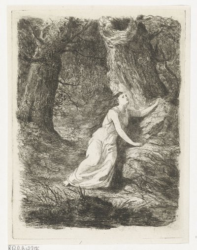 Olwene vagueia na floresta Aeddon (título da série) de Karel Frederik Bombled