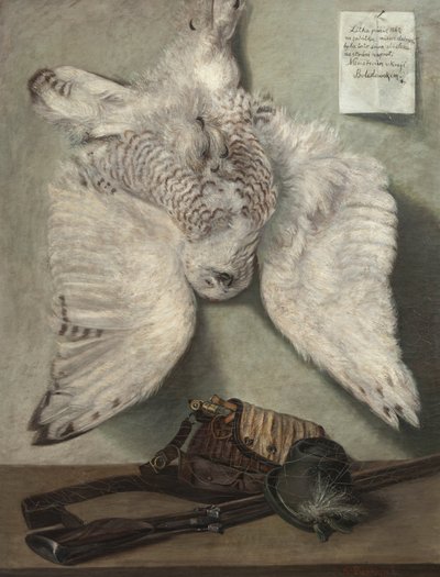 Snowy Owl de Karel Purkyne