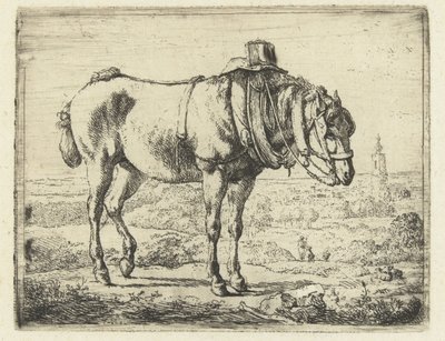 Cavalo arreado como cavalo de trabalho de Karel du Jardin (possibly)