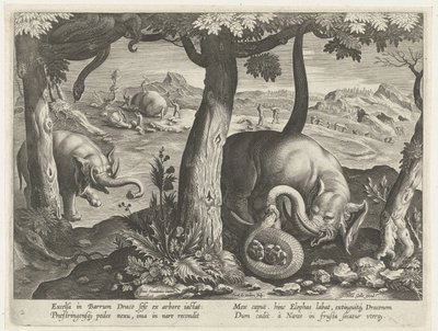 Elefante em luta com cobra
Cenas de caça (título da série)
Venationes Ferarum, auium, piscium pvgnae Bestiariorum (título da série) de Karel van Mallery (attributed to)