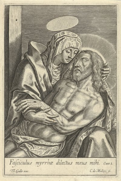 Pietá de Karel van Mallery