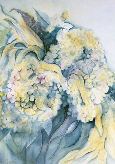 Hortênsia Particulata de Karen Armitage