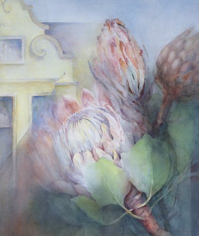 Protea em Stellenbosch, 1992 (wc) de Karen Armitage