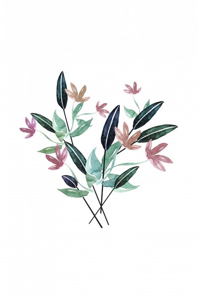 Delicadas flores em aguarela de Karen Menzenbach