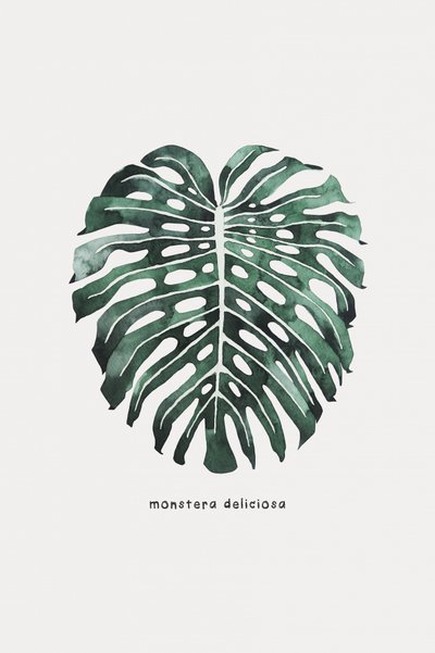 Folha de Monstera em aguarela de Karen Menzenbach
