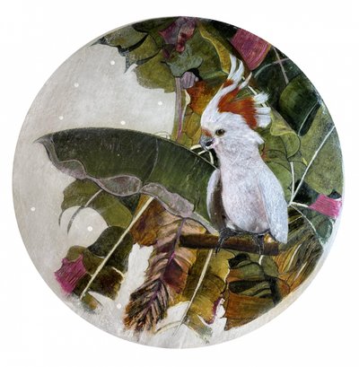 Cacatua-branca na selva de Karenina Fabrizzi