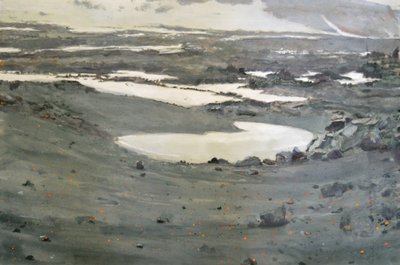 Paisagem da Tundra Inhospitaleira de Karin Bos
