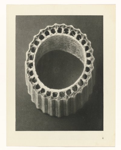 Estudos Fitossanitários
Arquétipos de Arte: Imagens de plantas fotográficas (título da série) de Karl Blossfeldt
