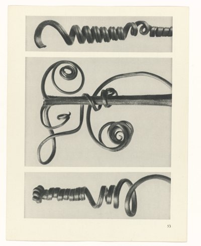 Estudo das plantas
Arquétipos de Arte (título da série) de Karl Blossfeldt