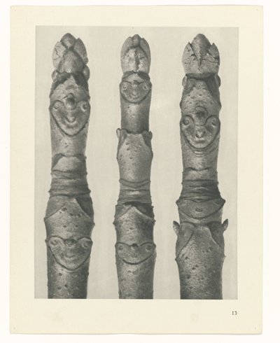 Estudo das plantas
Arquétipos de Arte (título da série) de Karl Blossfeldt
