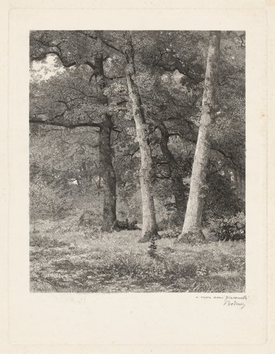 Uma clareira na floresta de Karl Bodmer