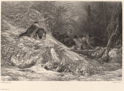 Abrigo da geada de Karl Bodmer