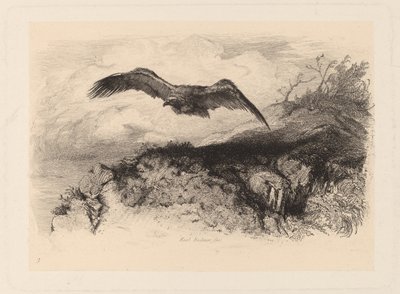 águia voadora de Karl Bodmer