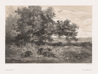 Animais e paisagem depois da natureza: javali em uma lagoa de Karl Bodmer