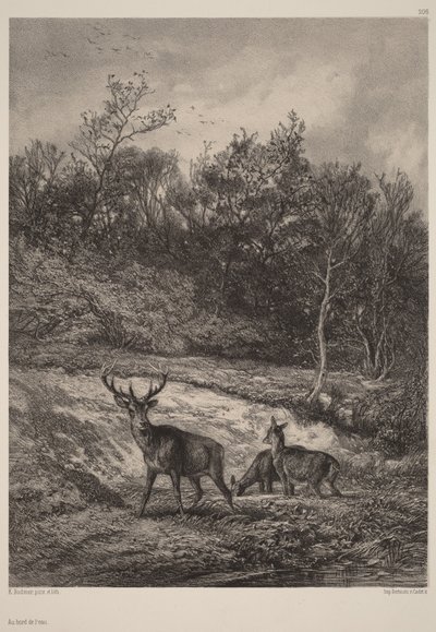 À beira da água de Karl Bodmer