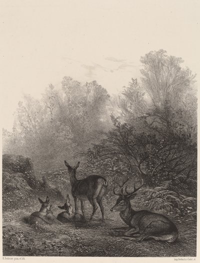 Veado descansando de Karl Bodmer