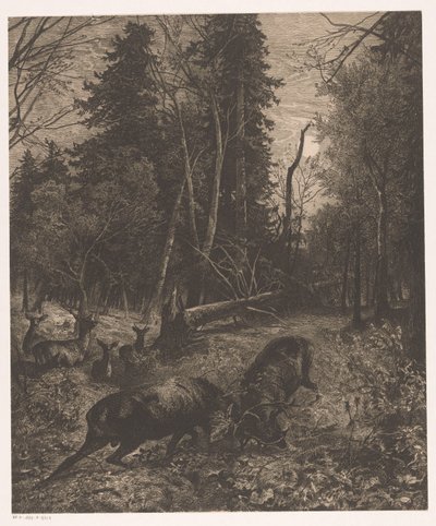 Vista da floresta com dois veados lutando de Karl Bodmer